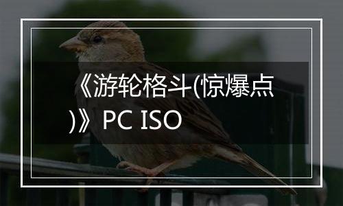 《游轮格斗(惊爆点)》PC ISO