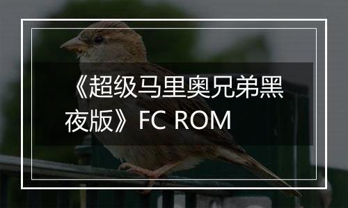 《超级马里奥兄弟黑夜版》FC ROM