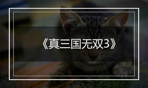 《真三国无双3》