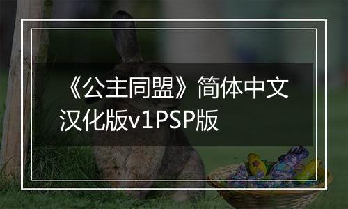 《公主同盟》简体中文汉化版v1PSP版