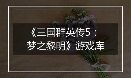 《三国群英传5：梦之黎明》游戏库