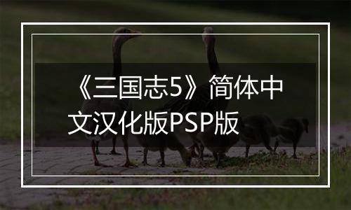 《三国志5》简体中文汉化版PSP版