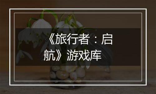 《旅行者：启航》游戏库