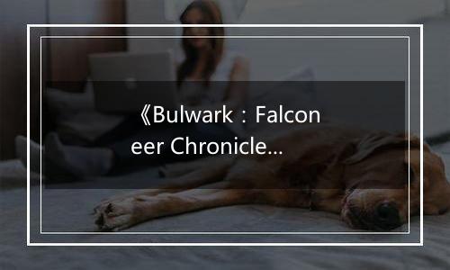 《Bulwark：Falconeer Chronicles》游戏库