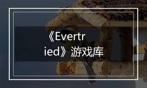 《Evertried》游戏库