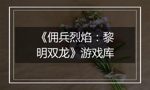 《佣兵烈焰：黎明双龙》游戏库