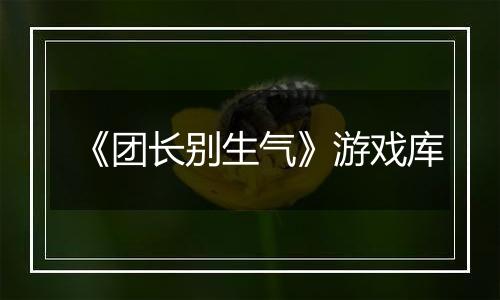 《团长别生气》游戏库
