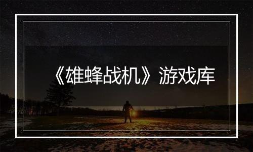 《雄蜂战机》游戏库