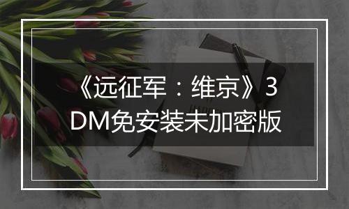 《远征军：维京》3DM免安装未加密版