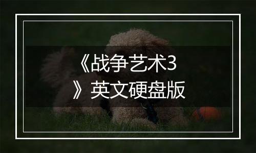 《战争艺术3》英文硬盘版