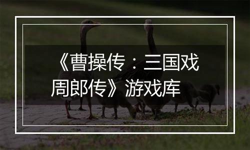 《曹操传：三国戏周郎传》游戏库