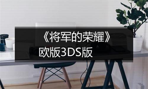 《将军的荣耀》欧版3DS版