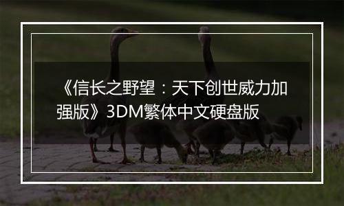 《信长之野望：天下创世威力加强版》3DM繁体中文硬盘版