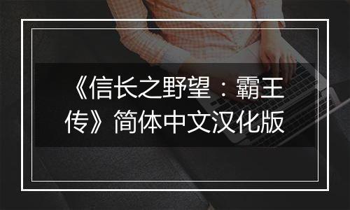 《信长之野望：霸王传》简体中文汉化版