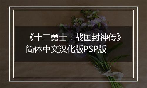 《十二勇士：战国封神传》简体中文汉化版PSP版