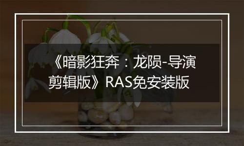 《暗影狂奔:龙陨-导演剪辑版》RAS免安装版