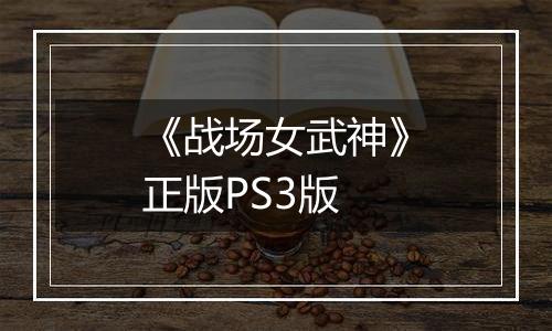 《战场女武神》正版PS3版