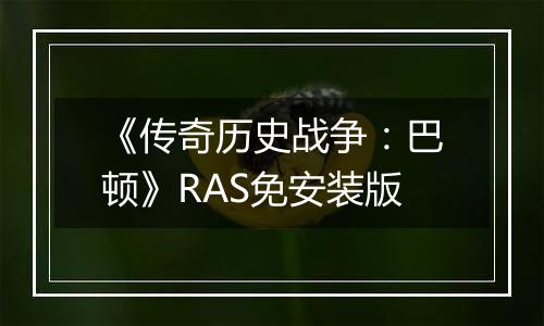 《传奇历史战争：巴顿》RAS免安装版