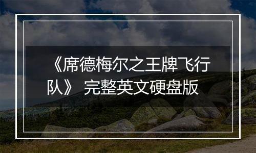 《席德梅尔之王牌飞行队》 完整英文硬盘版