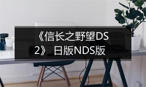 《信长之野望DS 2》 日版NDS版