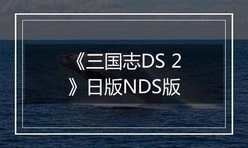 《三国志DS 2》日版NDS版