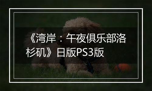 《湾岸：午夜俱乐部洛杉矶》日版PS3版