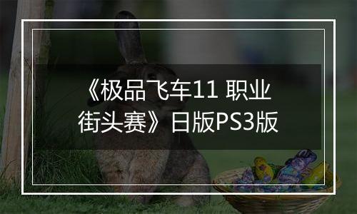 《极品飞车11 职业街头赛》日版PS3版