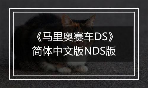 《马里奥赛车DS》简体中文版NDS版