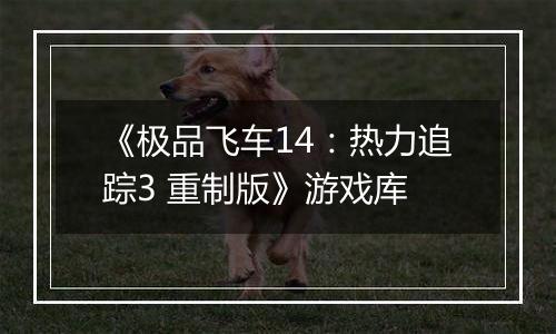 《极品飞车14：热力追踪3 重制版》游戏库