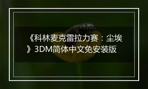 《科林麦克雷拉力赛：尘埃》3DM简体中文免安装版