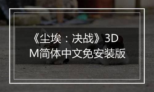 《尘埃：决战》3DM简体中文免安装版