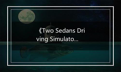 《Two Sedans Driving Simulator》游戏库