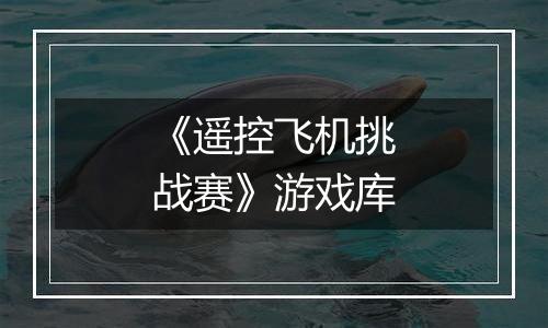 《遥控飞机挑战赛》游戏库
