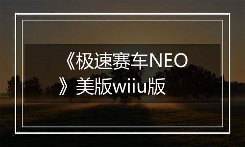 《极速赛车NEO》美版wiiu版