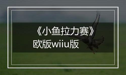 《小鱼拉力赛》欧版wiiu版