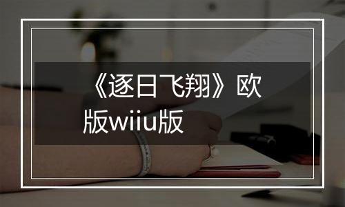《逐日飞翔》欧版wiiu版