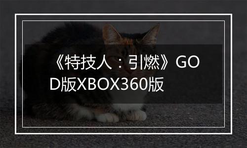 《特技人:引燃》GOD版XBOX360版