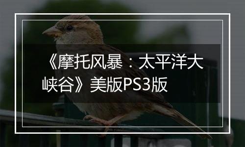 《摩托风暴：太平洋大峡谷》美版PS3版
