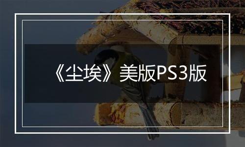 《尘埃》美版PS3版