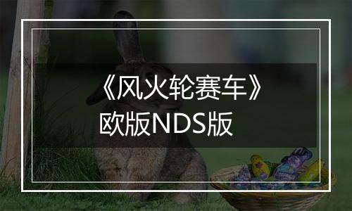 《风火轮赛车》 欧版NDS版