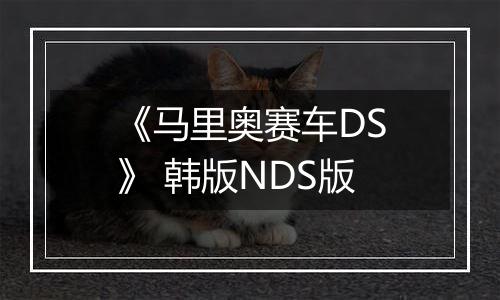《马里奥赛车DS》 韩版NDS版