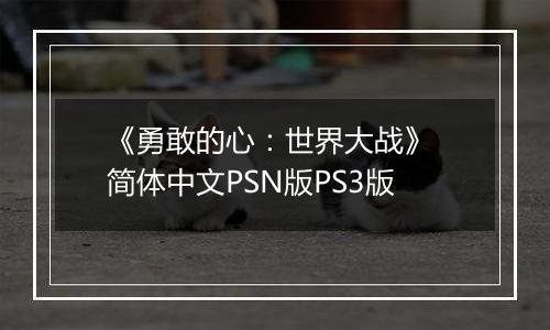 《勇敢的心：世界大战》 简体中文PSN版PS3版