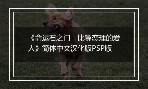 《命运石之门：比翼恋理的爱人》简体中文汉化版PSP版