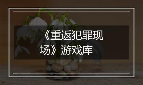 《重返犯罪现场》游戏库