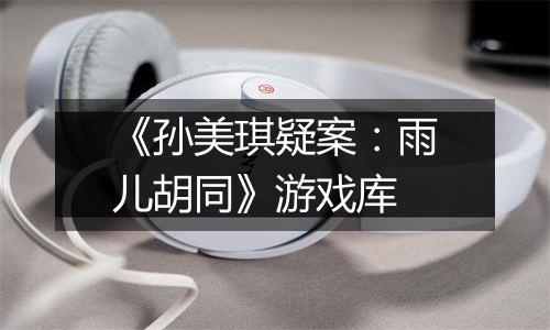 《孙美琪疑案：雨儿胡同》游戏库