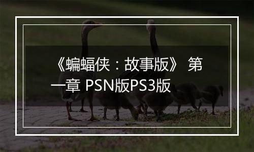 《蝙蝠侠：故事版》 第一章 PSN版PS3版