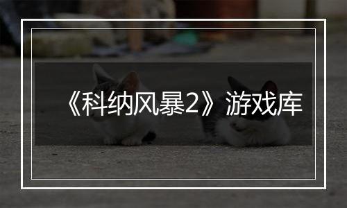 《科纳风暴2》游戏库