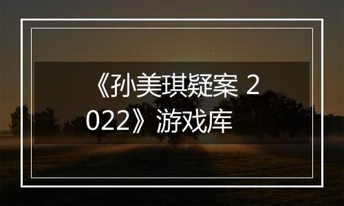 《孙美琪疑案 2022》游戏库