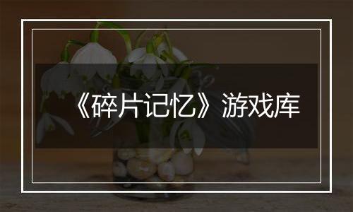 《碎片记忆》游戏库