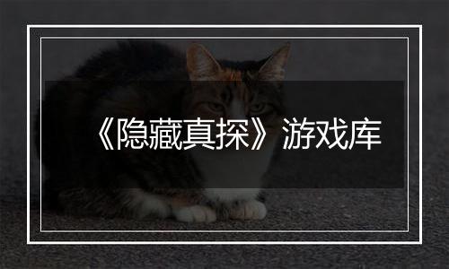 《隐藏真探》游戏库